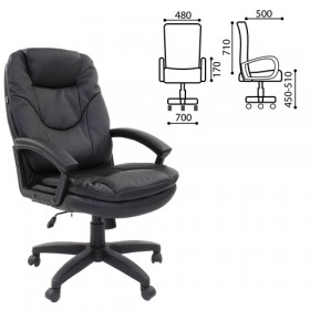 Кресло офисное BRABIX Trend EX-568 (черный) в Железногорске - zheleznogorsk.katalogmebeli.com | фото 1