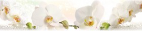 Кухонный фартук КМ 155 Орхидея Капли Цветы в Железногорске - zheleznogorsk.katalogmebeli.com | фото